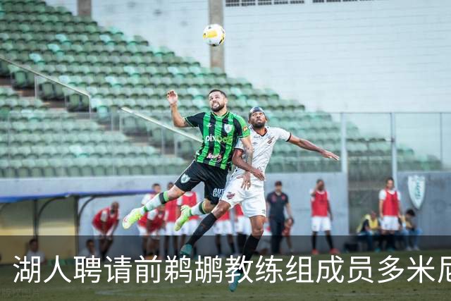 湖人聘请前鹈鹕教练组成员多米尼克·萨曼吉担任篮球运营分析师